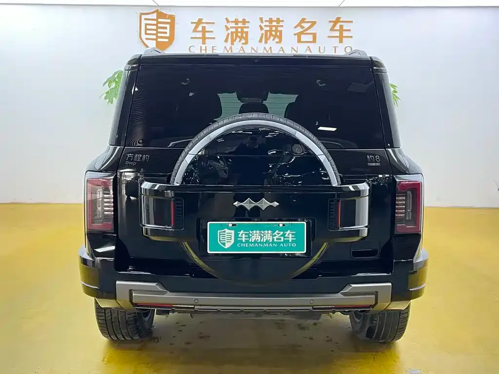 Fang Cheng Bao Leopard 8 — фото 4
