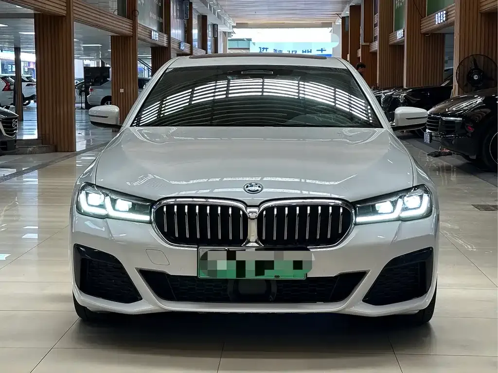 BMW 5 Series New Energy — фото 4