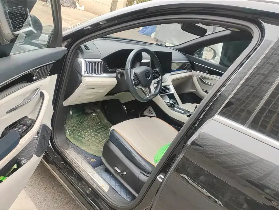 BYD PLUS New Energy — фото 10