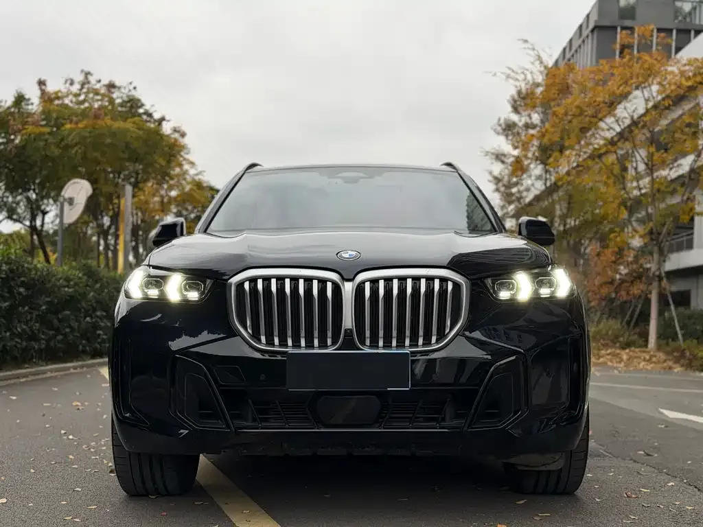 BMW X5 — фото 5