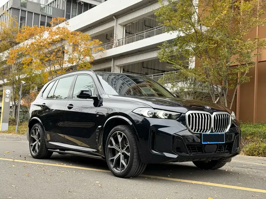 BMW X5 — фото 9