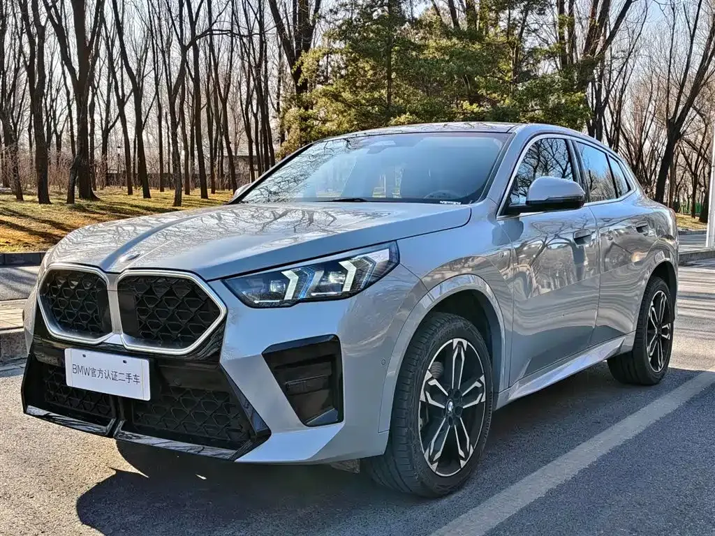 BMW X2 (Import) — фото 1