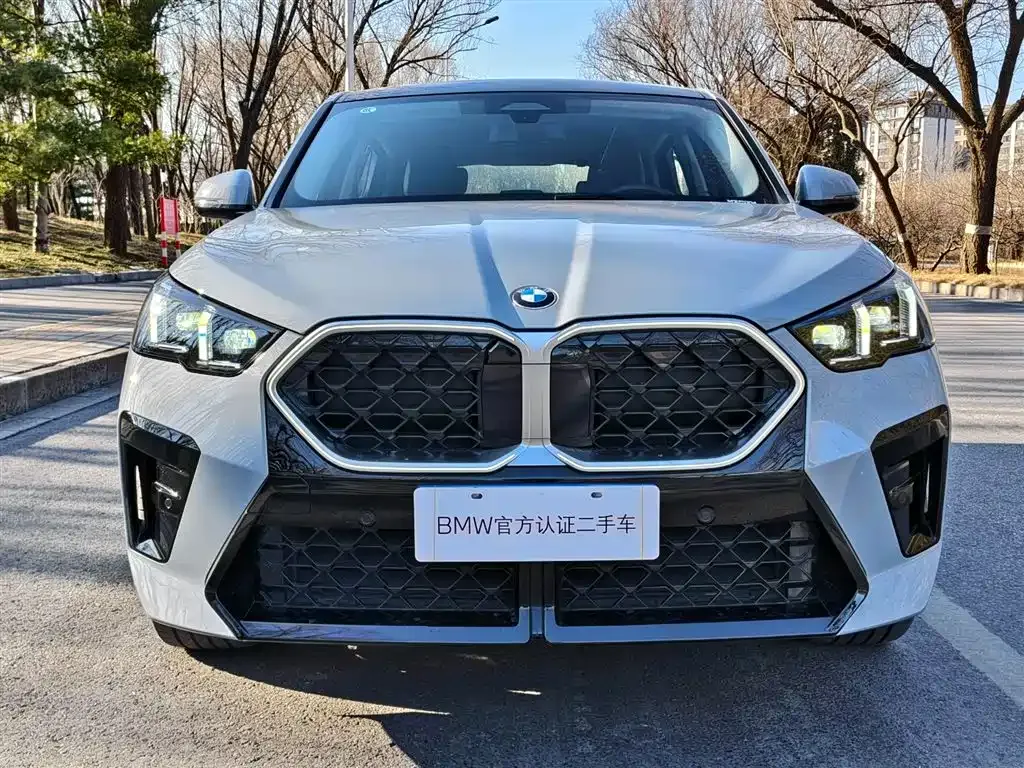 BMW X2 (Import) — фото 9