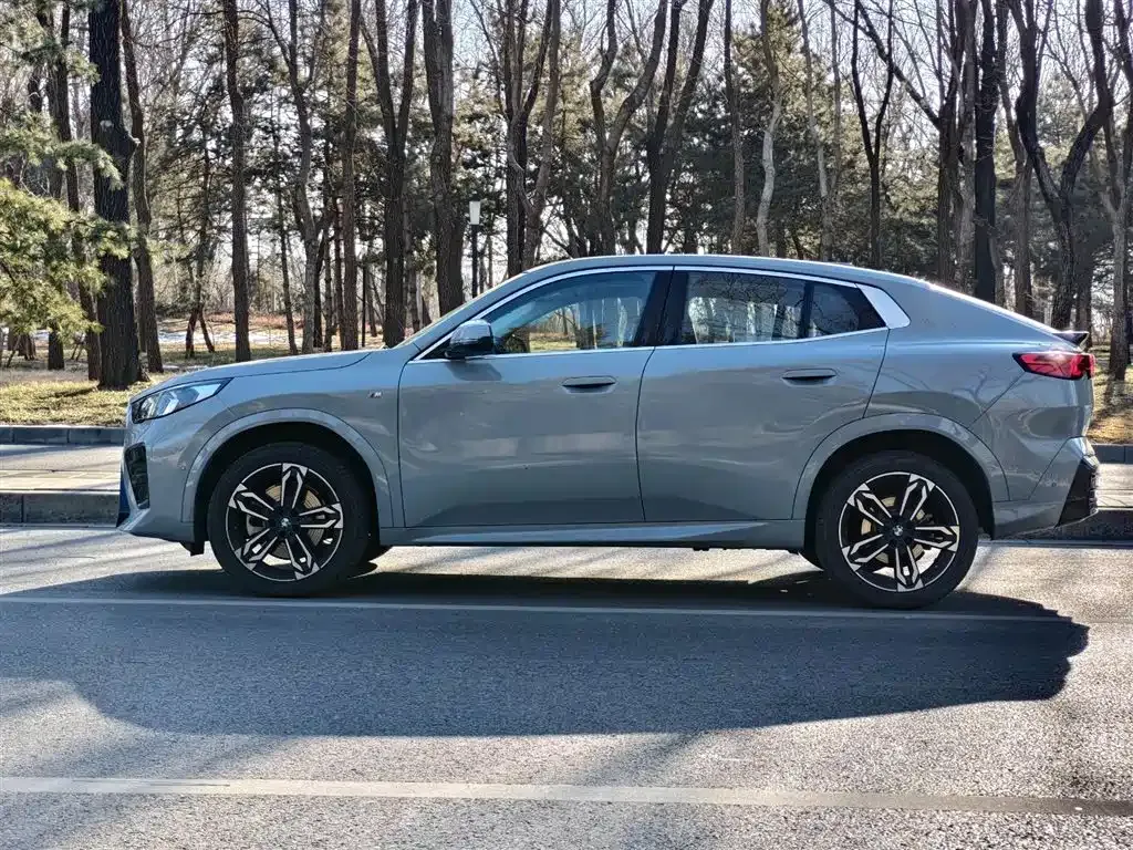 BMW X2 (Import) — фото 10