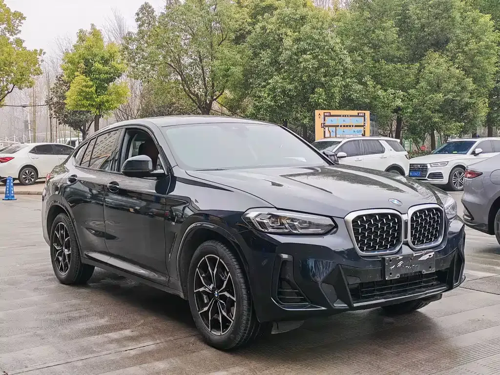 BMW X4 — фото 8