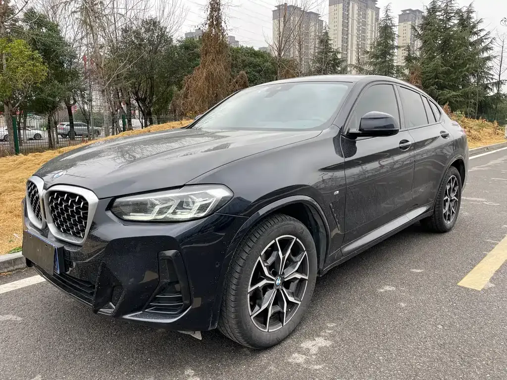BMW X4 — фото 1