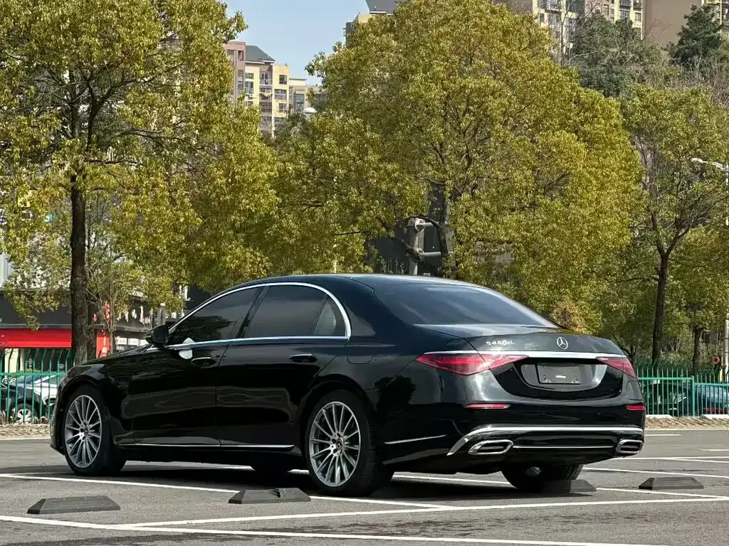 Mercedes-Benz S-Class New Energy — фото 9