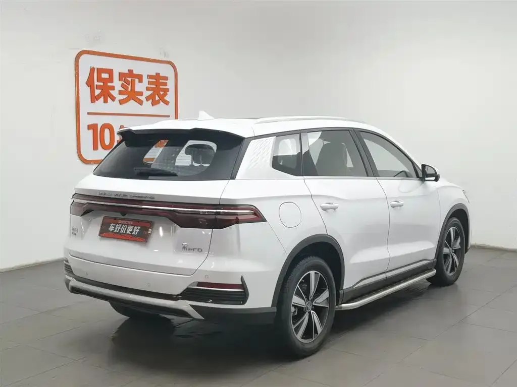 BYD Pro New Energy — фото 4
