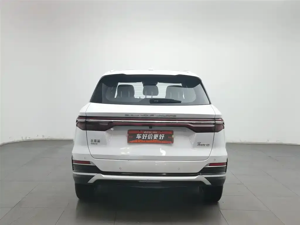 BYD Pro New Energy — фото 6