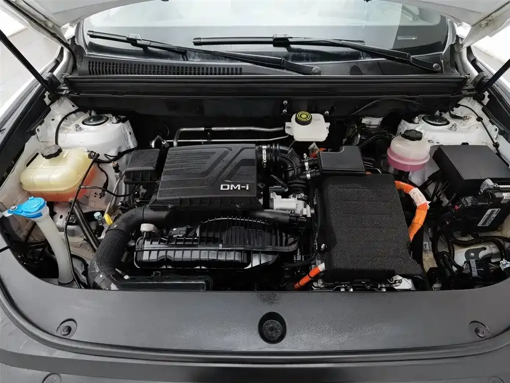 BYD Pro New Energy — фото 10
