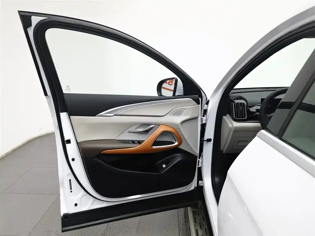 BYD Pro New Energy — фото 3
