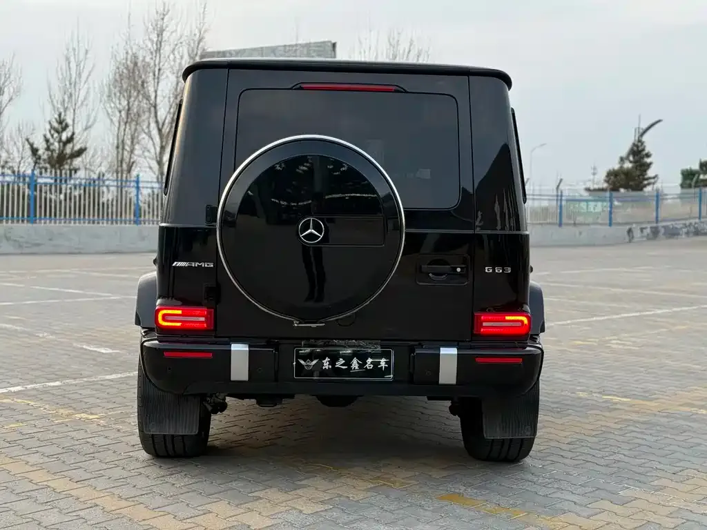 Mercedes-Benz G-Class AMG — фото 10