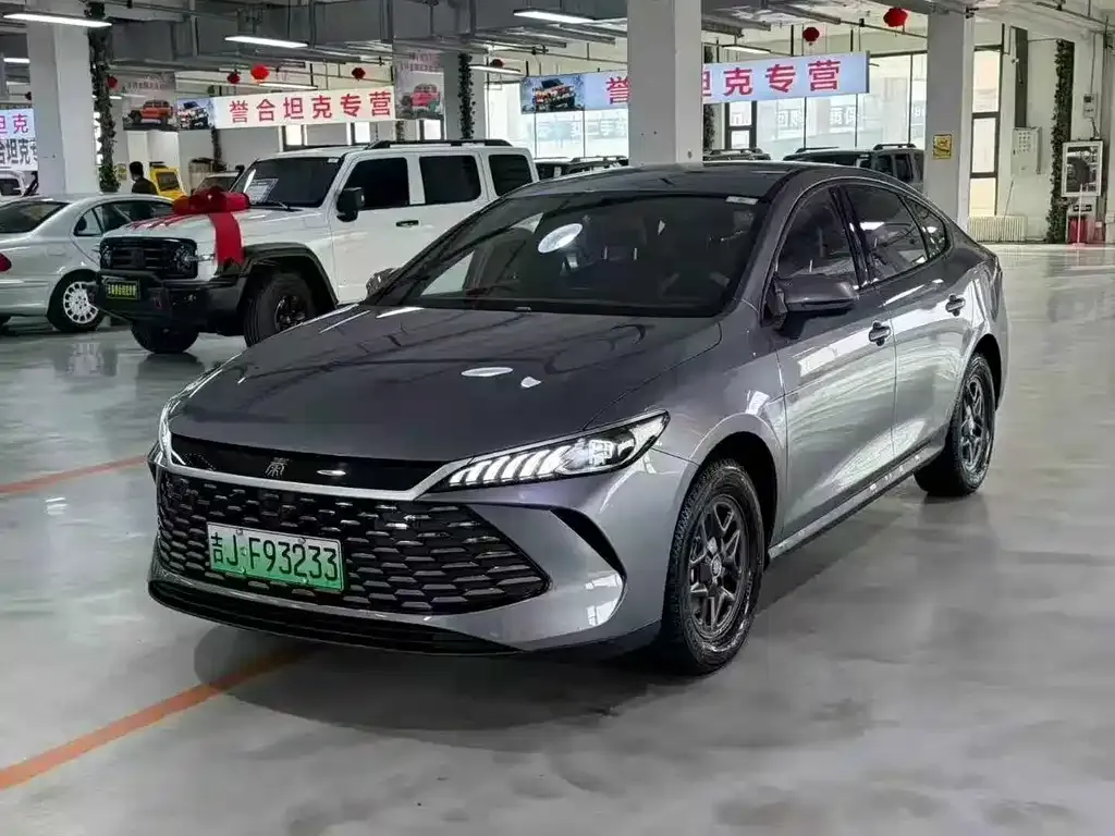 BYD Qin PLUS — фото 1