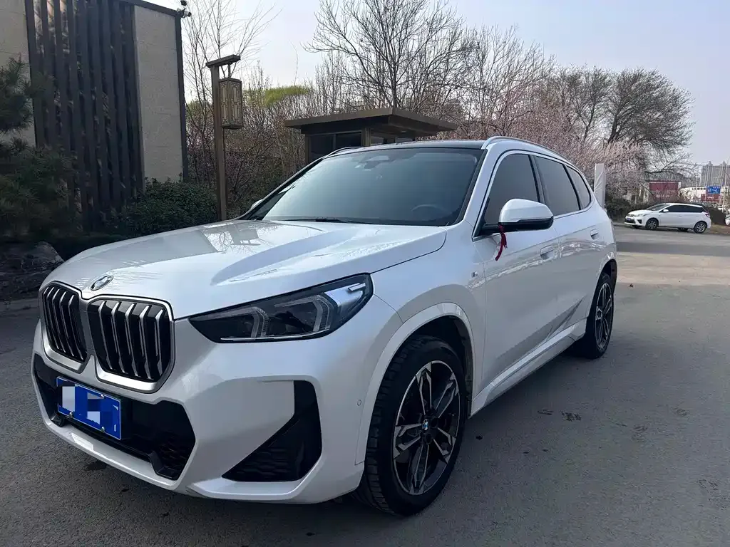 BMW X1 — фото 1