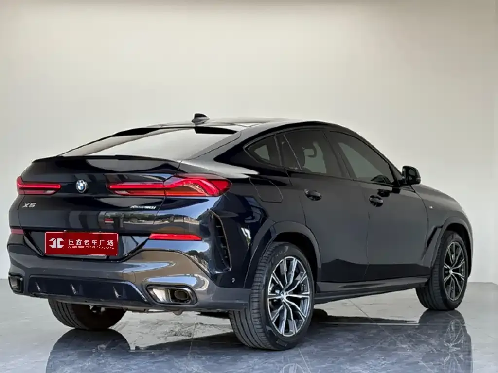 BMW X6 — фото 10