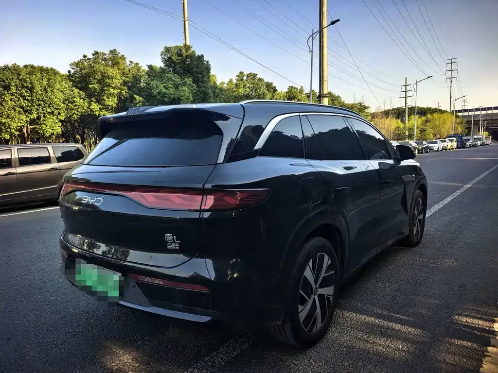 BYD Tang L — фото 3