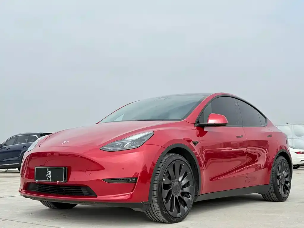 Tesla Model Y — фото 1