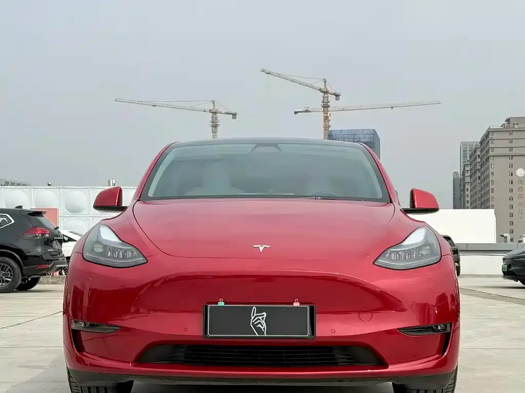 Tesla Model Y — фото 2