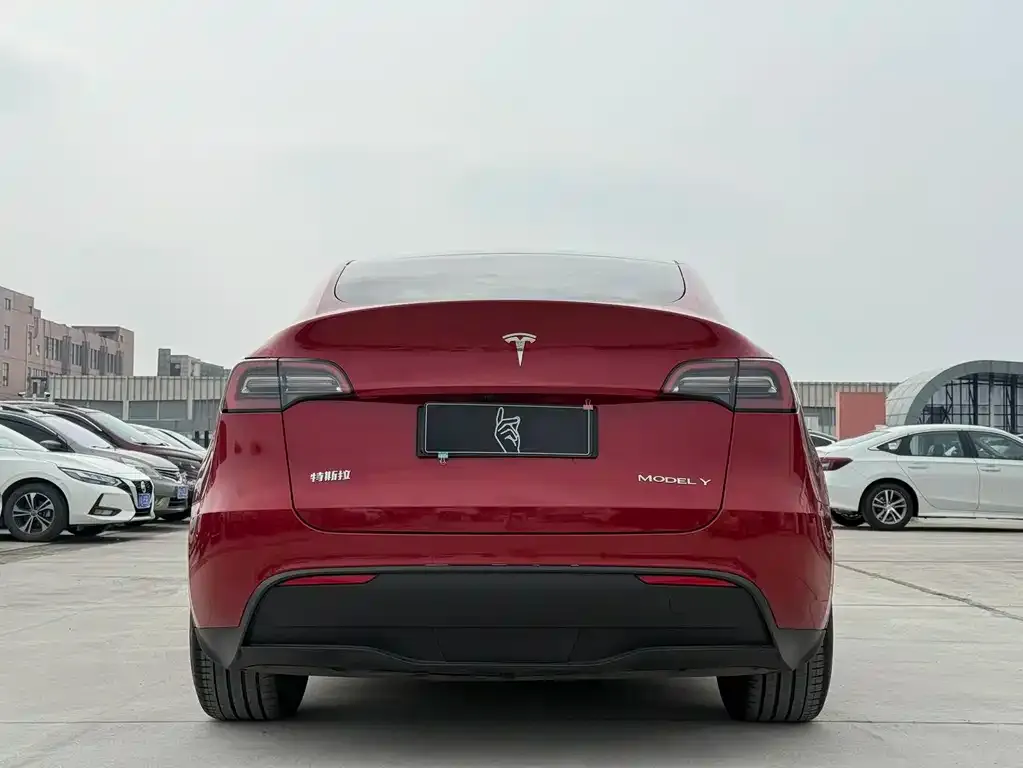 Tesla Model Y — фото 3