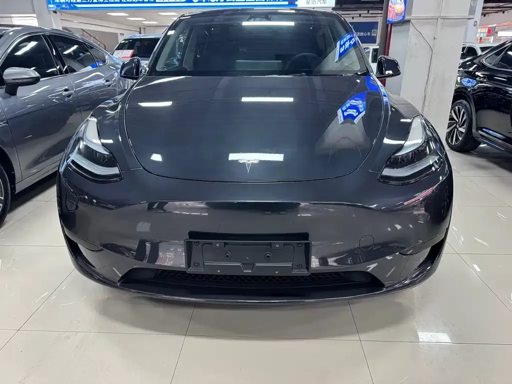 Tesla Model Y — фото 3