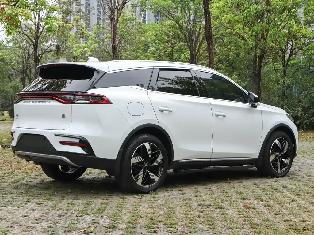 BYD Tang New Energy — фото 5