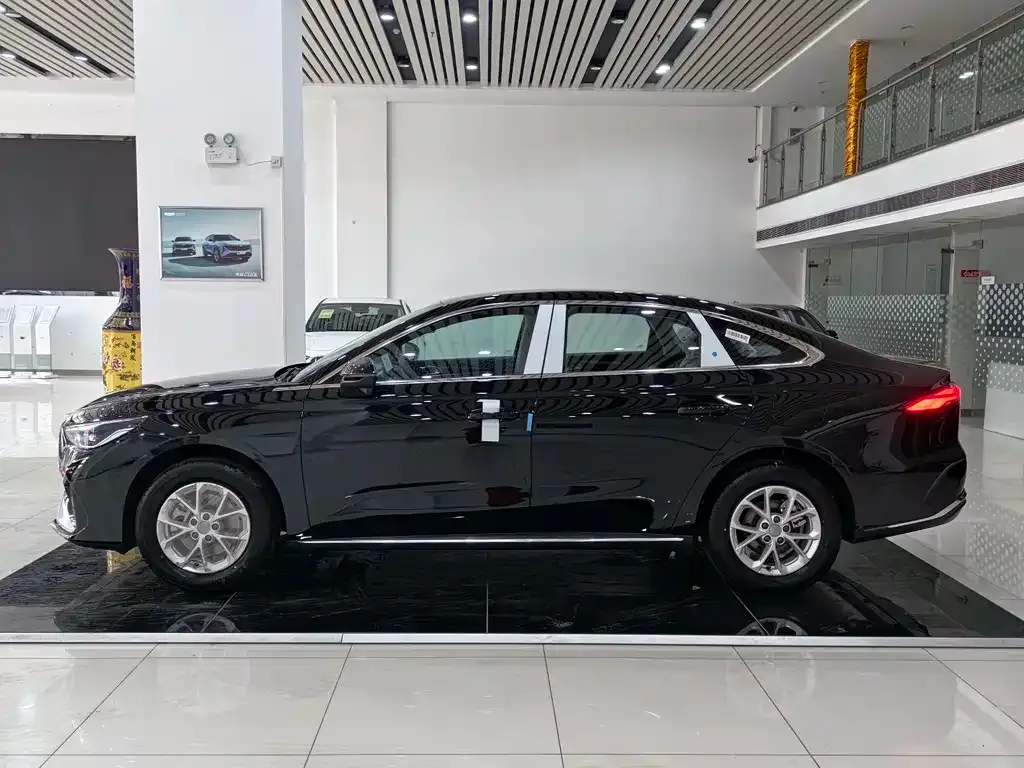 Geely 银河星耀6 — фото 7