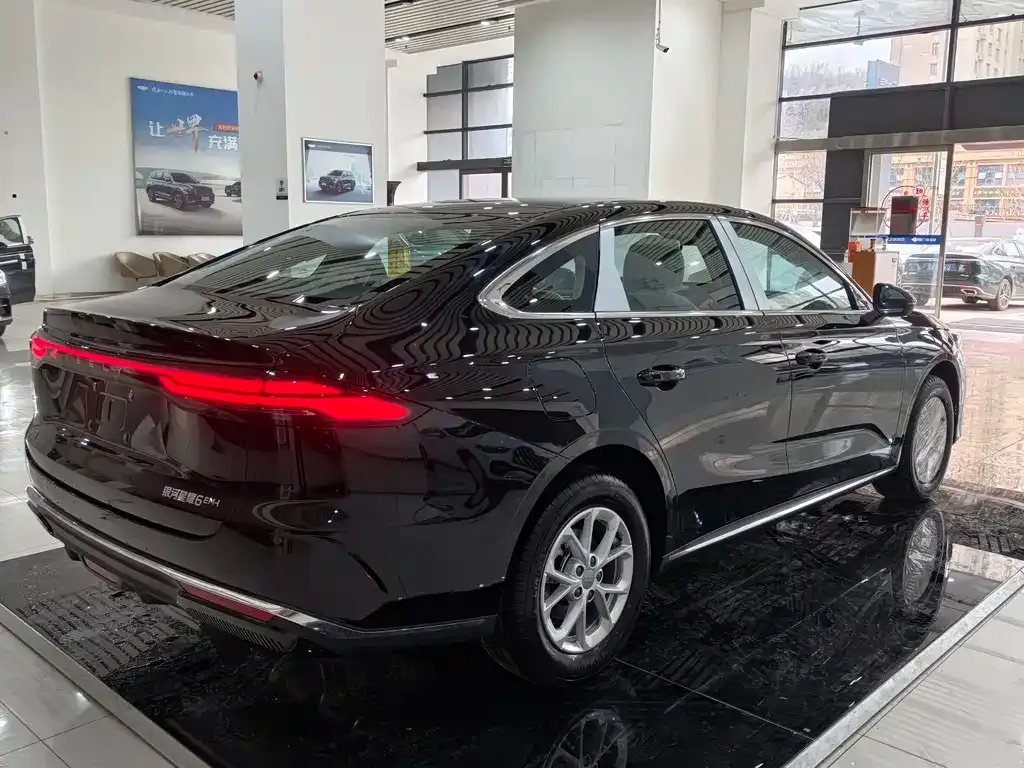 Geely 银河星耀6 — фото 10