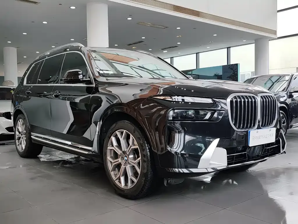 BMW X7 — фото 9