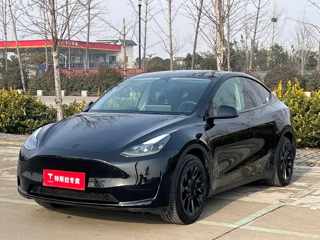 Tesla Model Y — фото 1