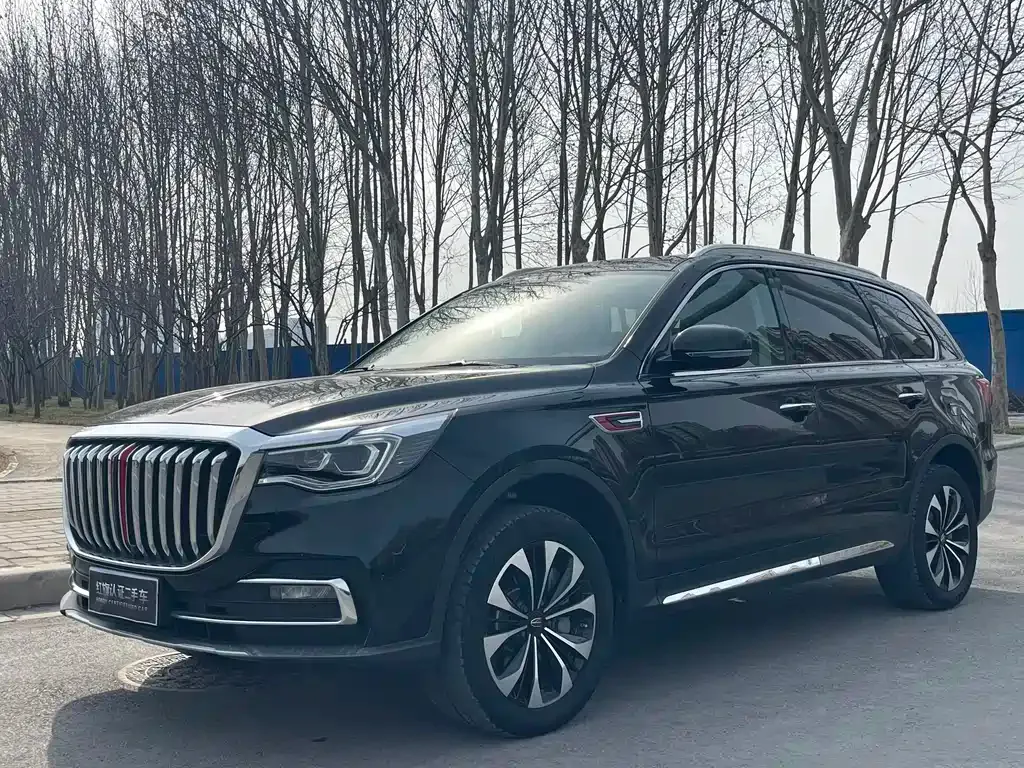 Hongqi HS7 — фото 10
