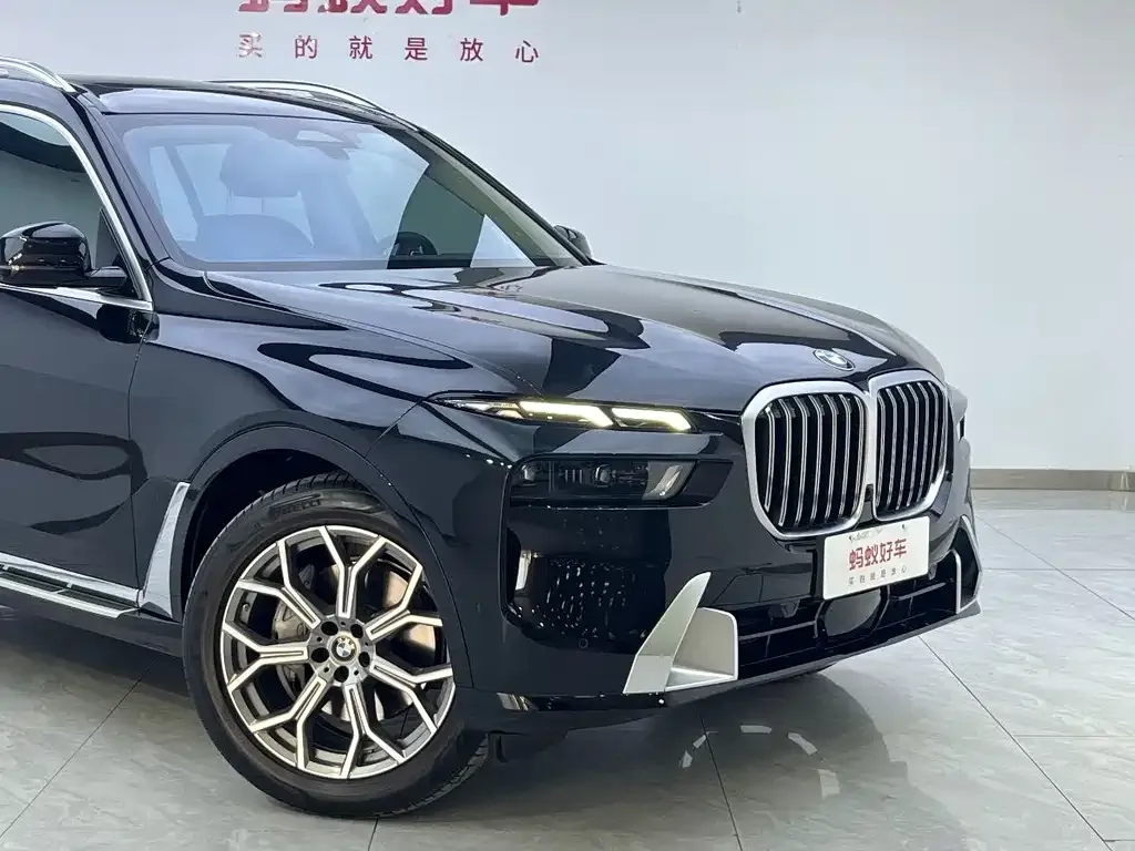 BMW X7 — фото 10