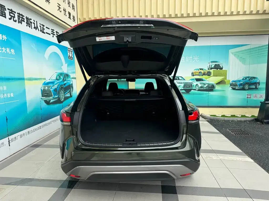 Lexus RX New Energy — фото 8
