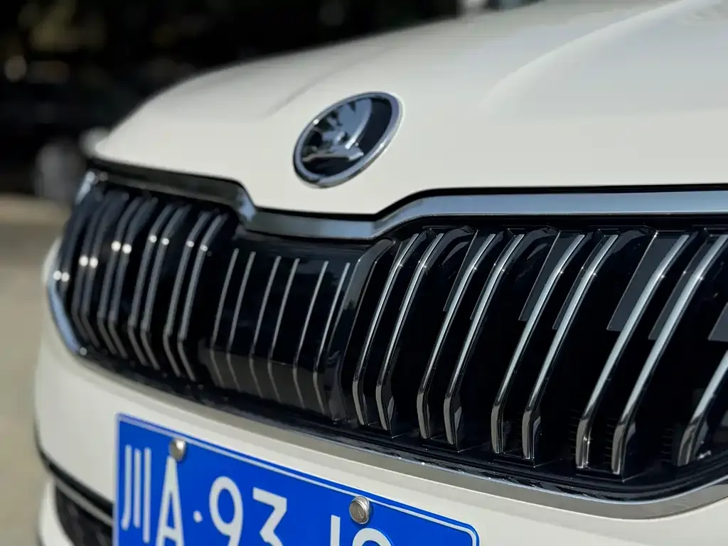 Skoda Karoq — фото 2