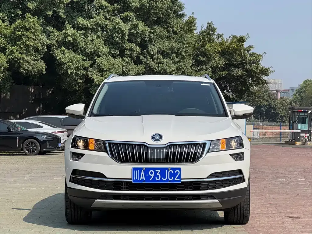 Skoda Karoq — фото 10