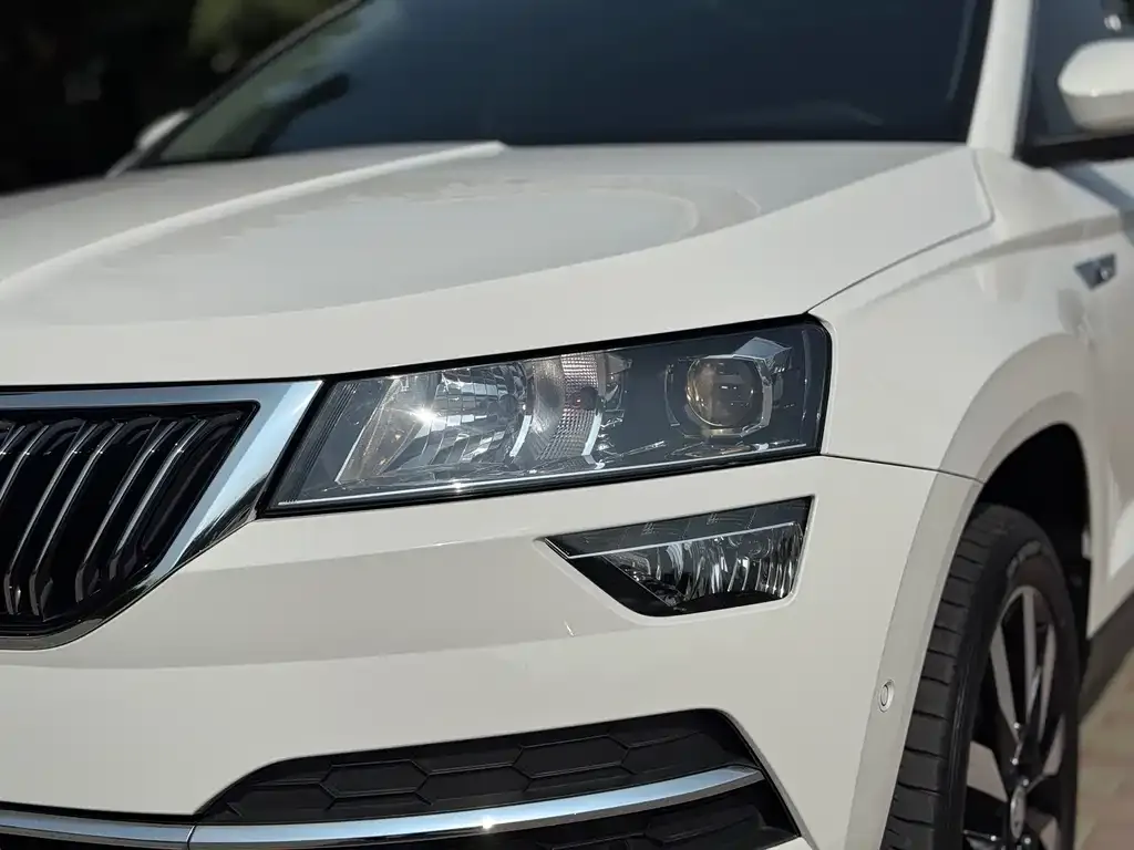Skoda Karoq — фото 9