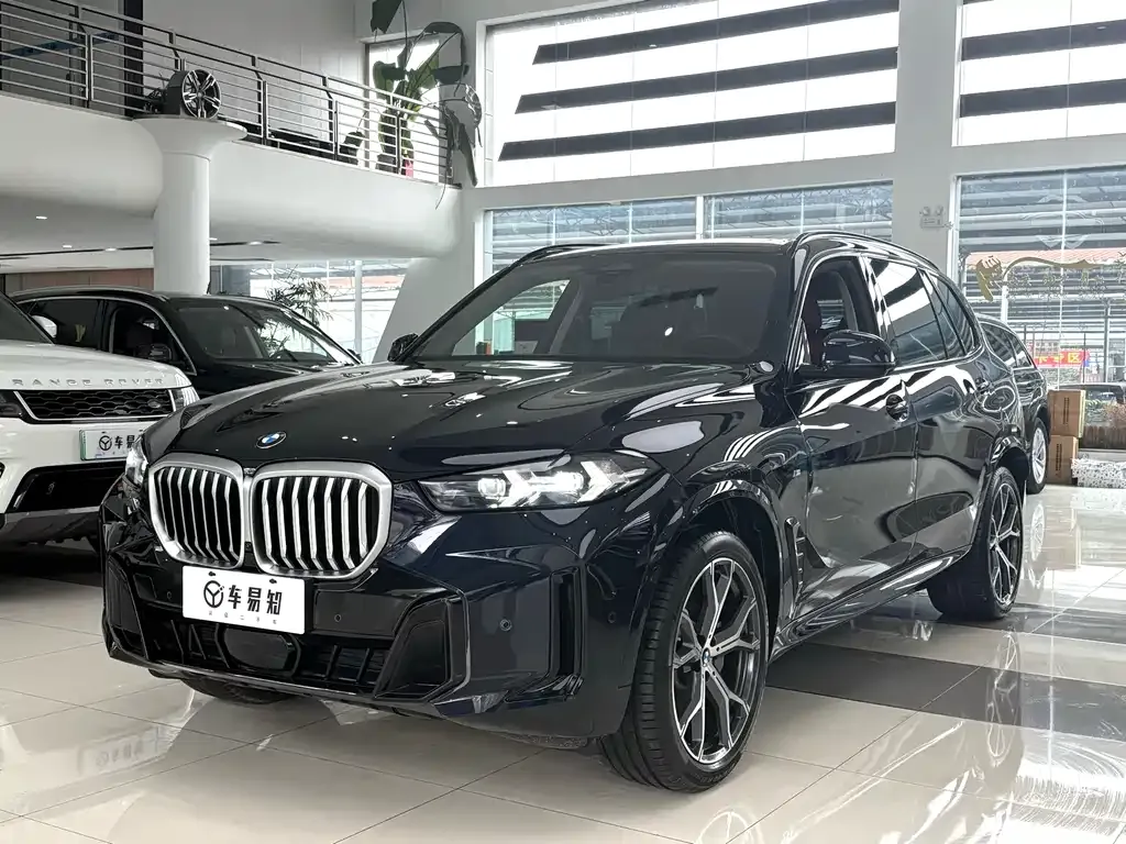 BMW X5 — фото 1