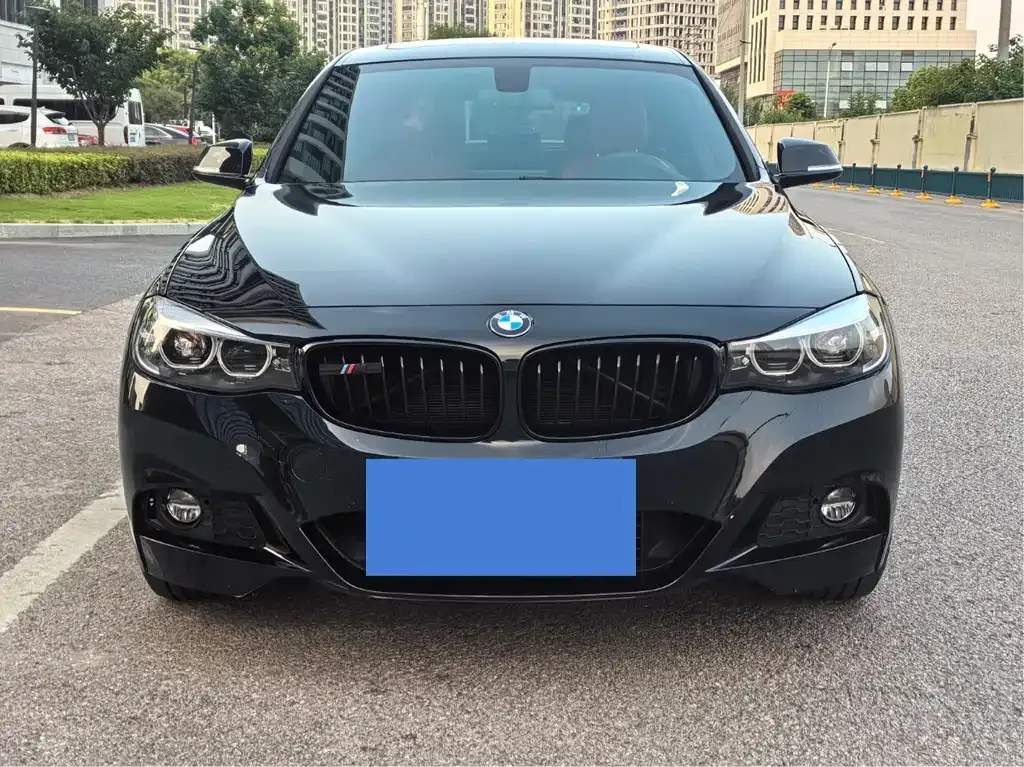 BMW 3 Series GT — фото 6