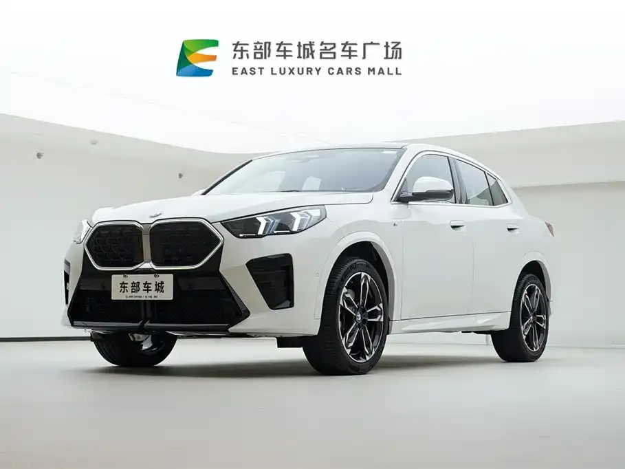 BMW X2 (Import) — фото 1