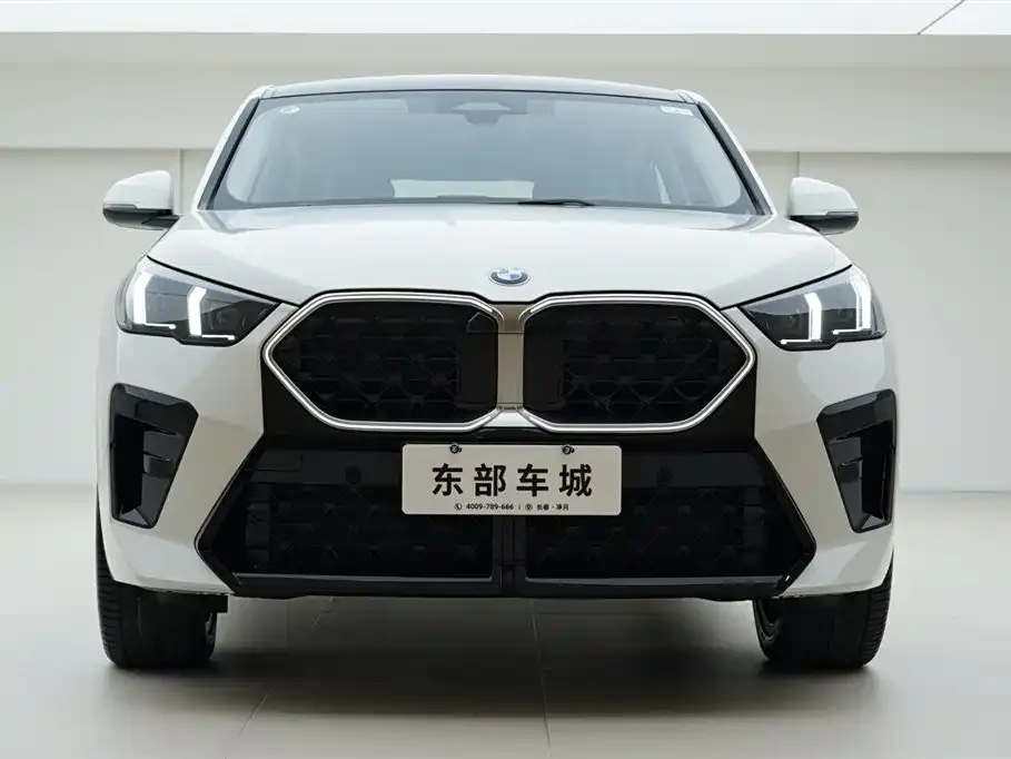 BMW X2 (Import) — фото 8