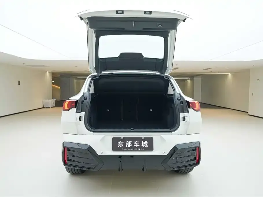 BMW X2 (Import) — фото 4