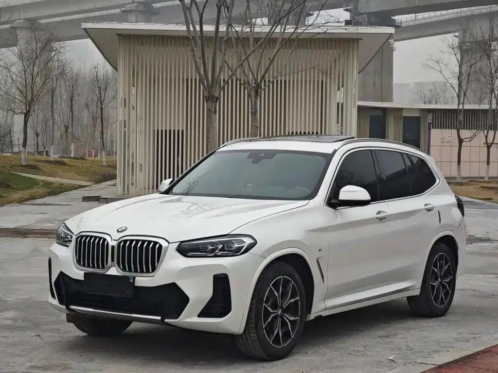 BMW X3 — фото 1