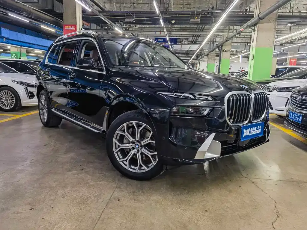 BMW X7 — фото 8