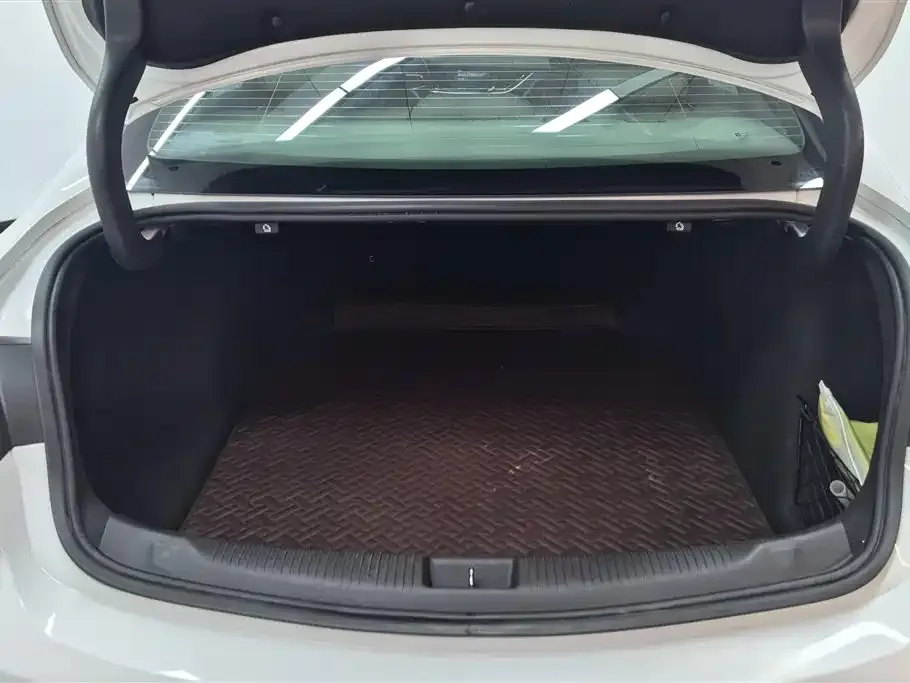 Buick Regal — фото 6