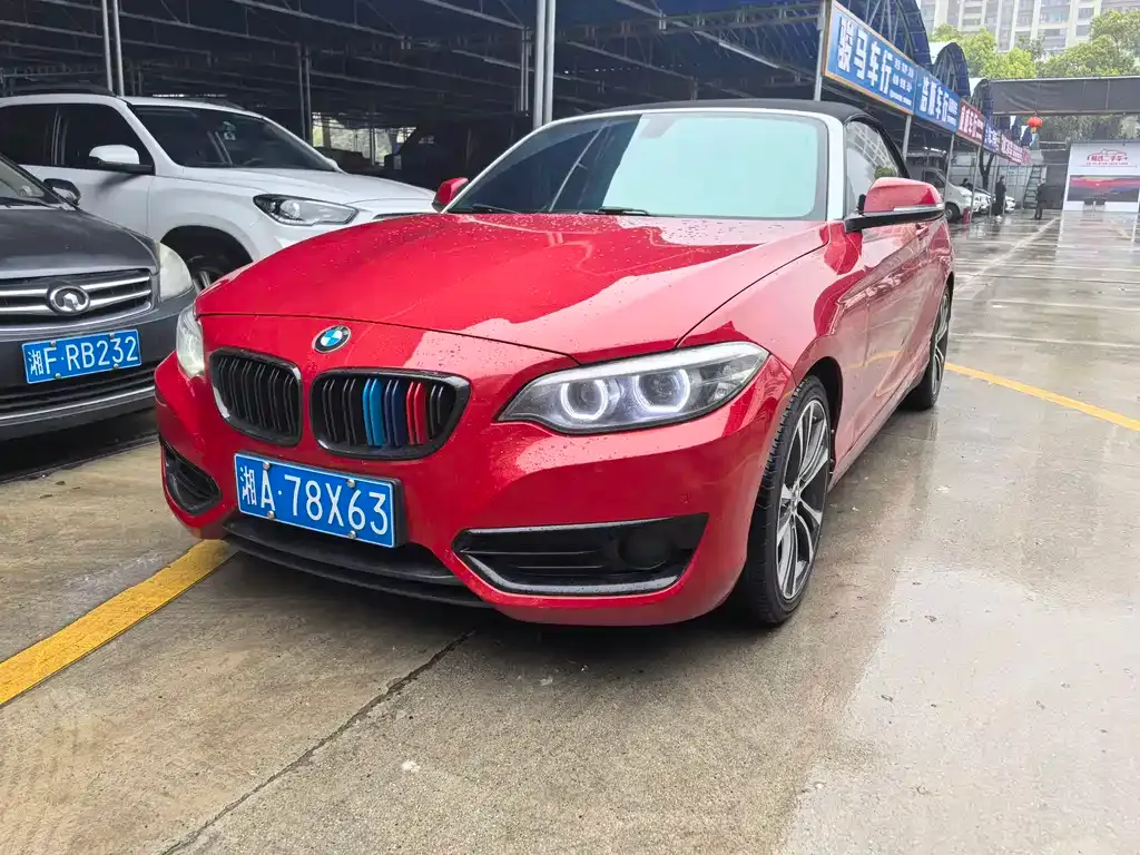 BMW 2 Series (Import) — фото 1