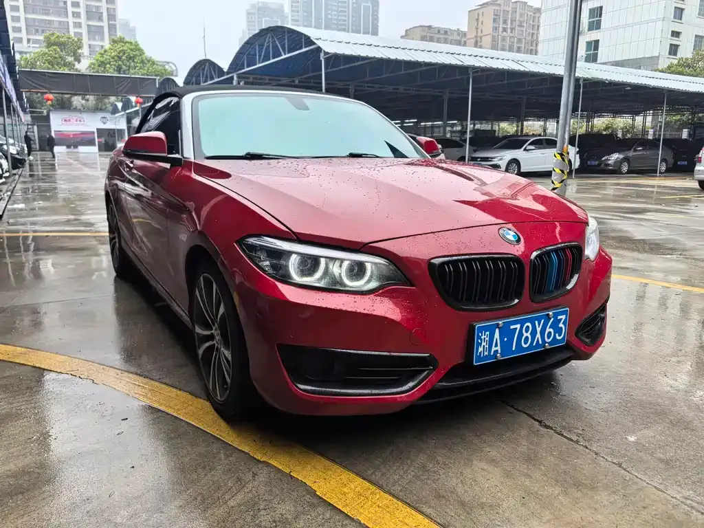 BMW 2 Series (Import) — фото 6