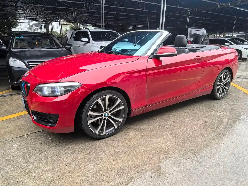BMW 2 Series (Import) — фото 9