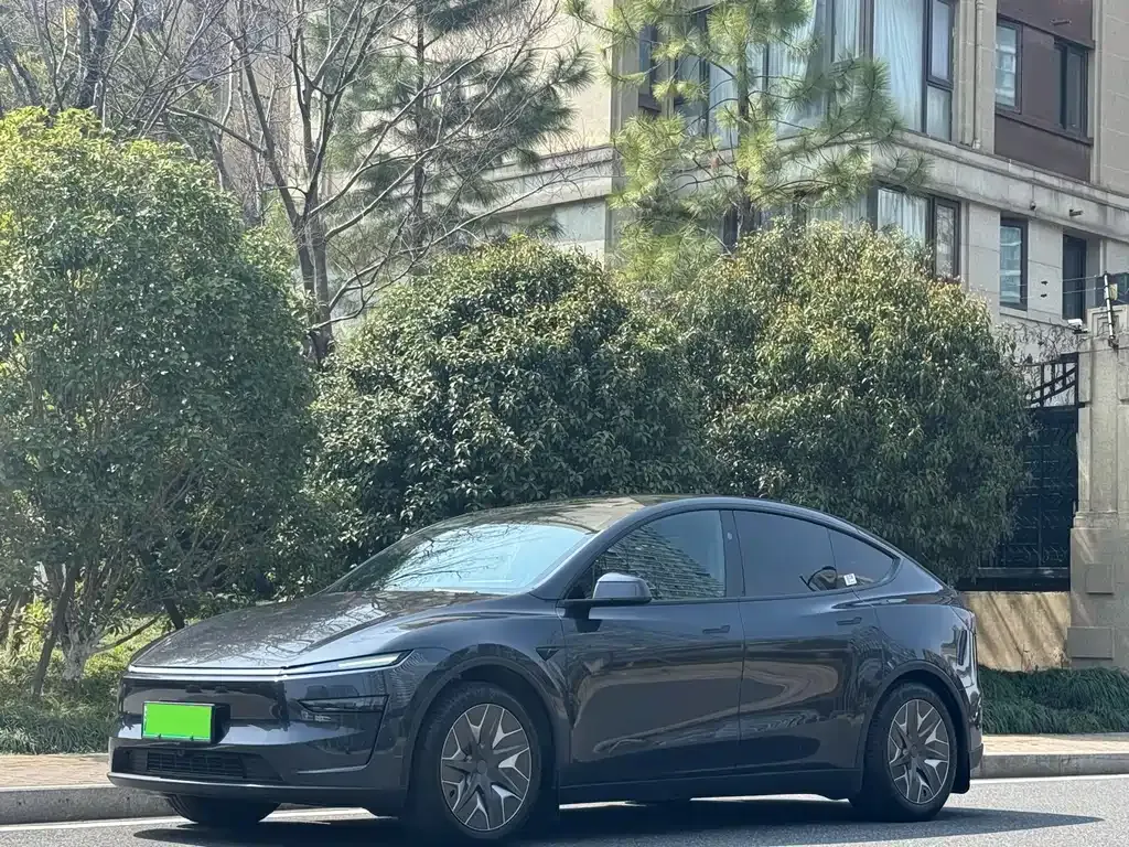 Tesla Model Y L — фото 1
