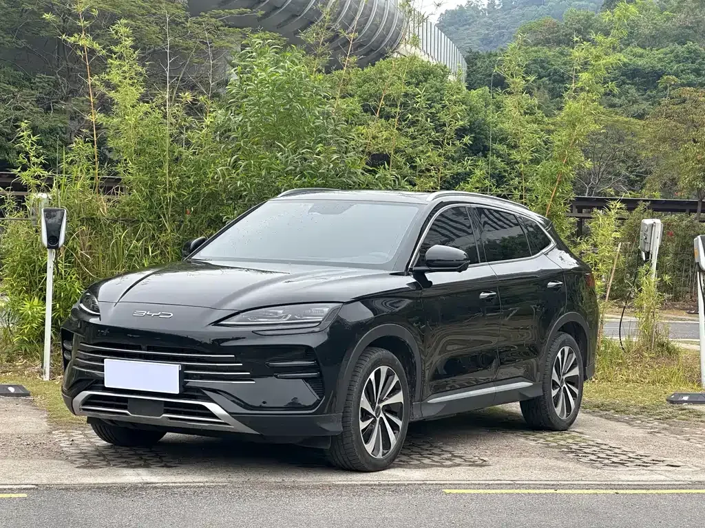 BYD PLUS New Energy — фото 1