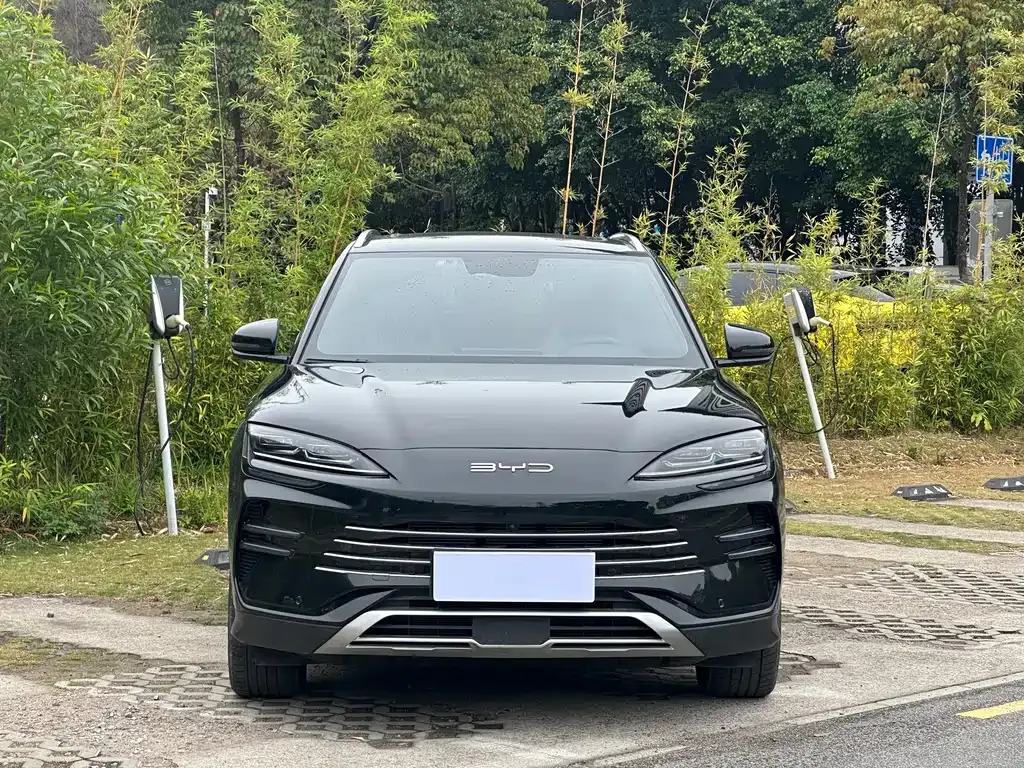 BYD PLUS New Energy — фото 10