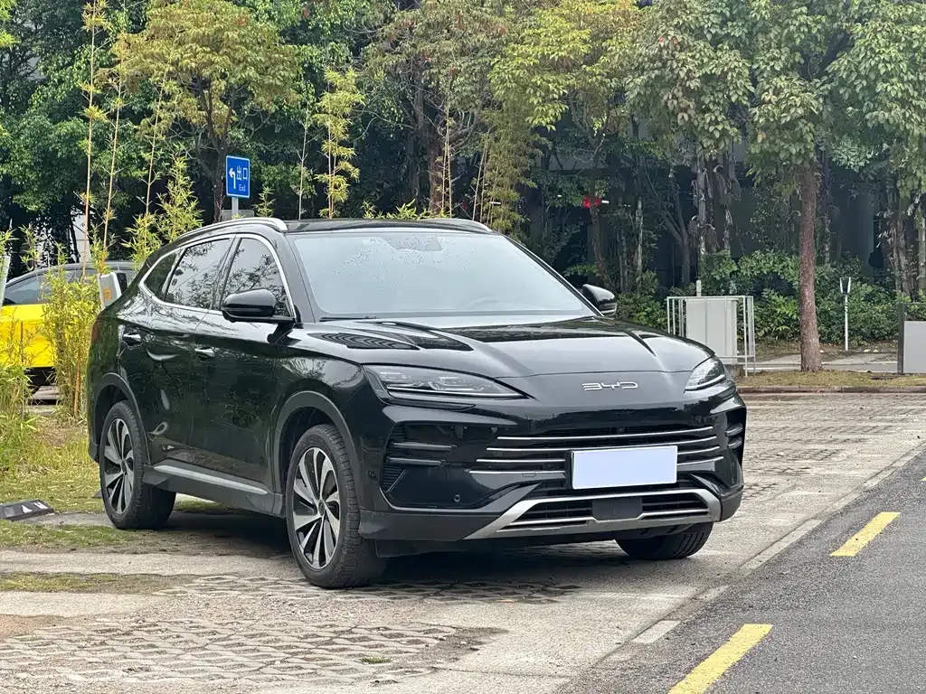BYD PLUS New Energy — фото 3